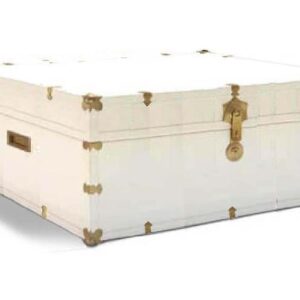 Christopher Coffee Table Trunk